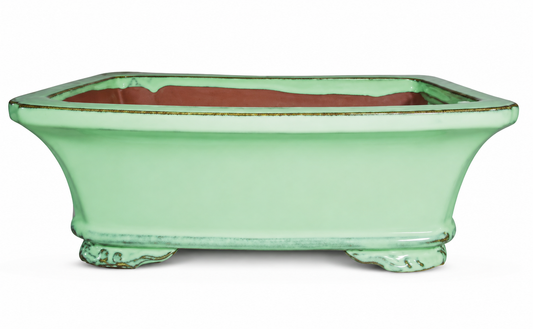 8" Ceramic Cactus - Rectangle Bonsai Pot Mint Green Color