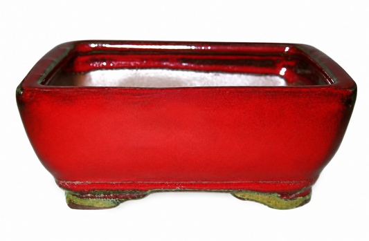 8" Ceramic Cactus - Rectangle Bonsai Pot red Color