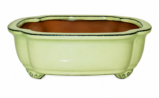 8" Ceramic Cactus - Oval Bonsai Pot Tan Color